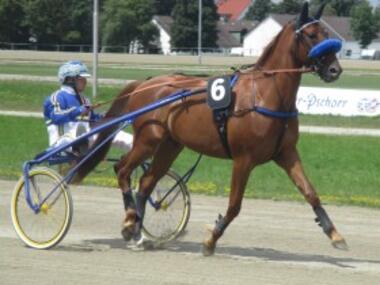 Tux-Cachamour Tux-Cachamour