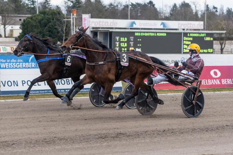 Uberlandis - Michael Nimczyk