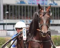 Very Impressive S Archiv Very Impressive S Archiv