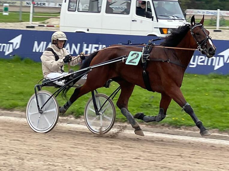 vincenzo