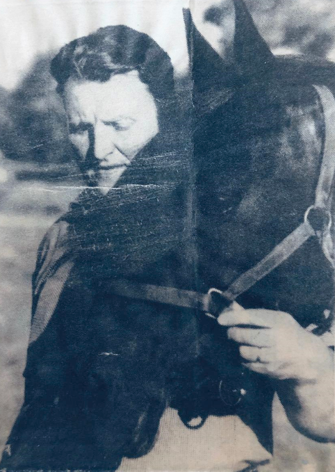 Vollertsen Vollertsen