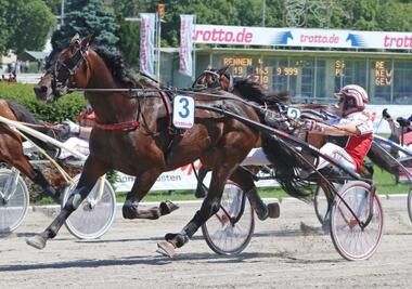 Vorlaufsieger Tsunami Diamant