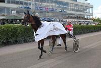 Voyage d'Amour Voyage d'Amour