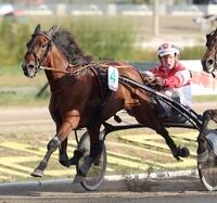 Voyage d'Amour Voyage d'Amour