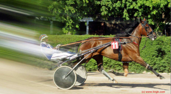 Wewering 2 Wewering 2