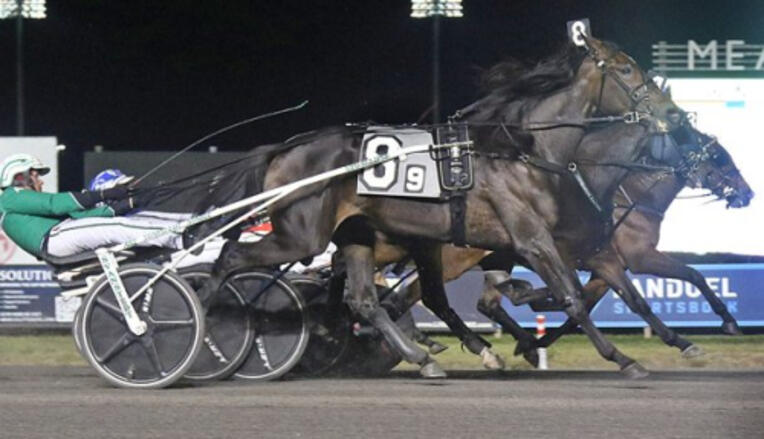 whatabidhanover30112024lisapuffbild-400
