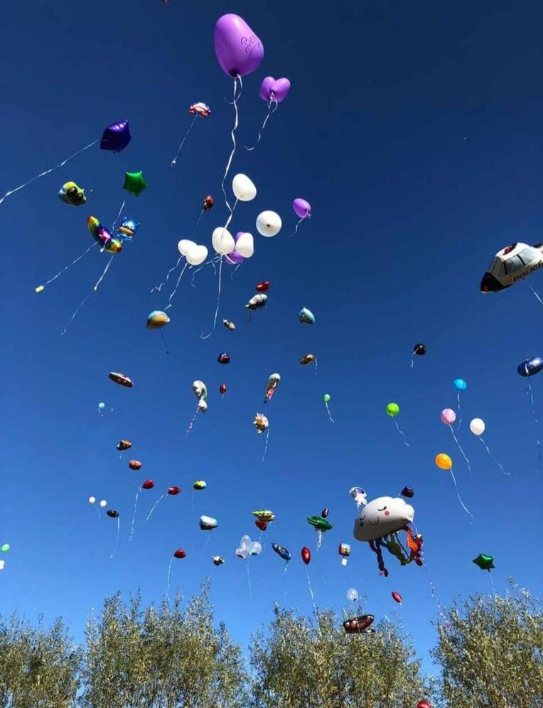 WhatsApp Image 2025-10-15 at 08.57.14