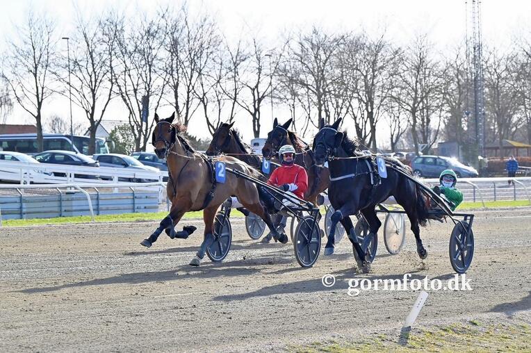 WhatsApp Image 2026-03-28 at 07.31.140