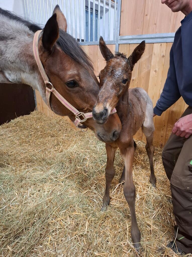 WhatsApp Image 2026-04-15 at 18.20.04