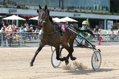 Wild Viking siegt im 3. Vorlauf der DAM 2017