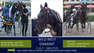 Wild West Diamant Wild West Diamant