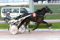 Winterfavorit Winterfavorit