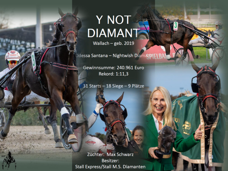 Y Not Diamant