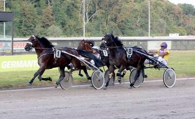Zauni gewinnt das Traber St. Leger 2016